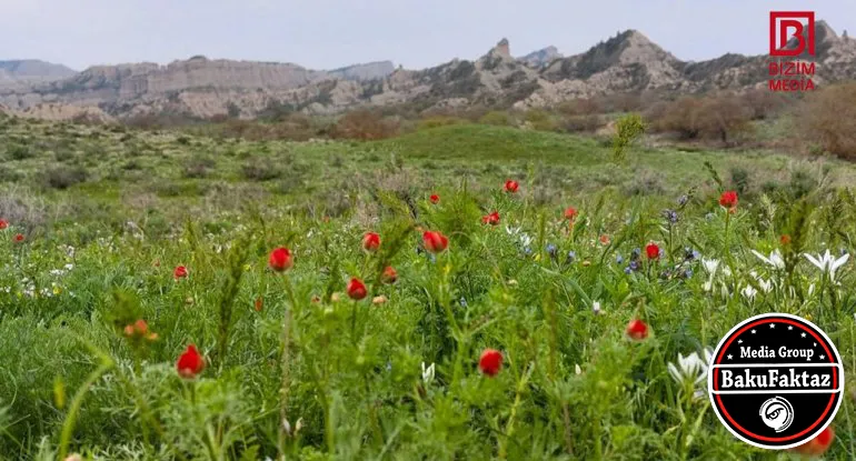 Azərbaycanda yeni milli park yaradılır - FOTO