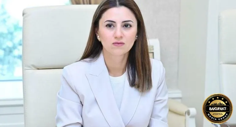 Səfərin mesajı Cənubi Qafqazda formalaşmış yeni reallıqların faktiki qəbuludur - Şərh