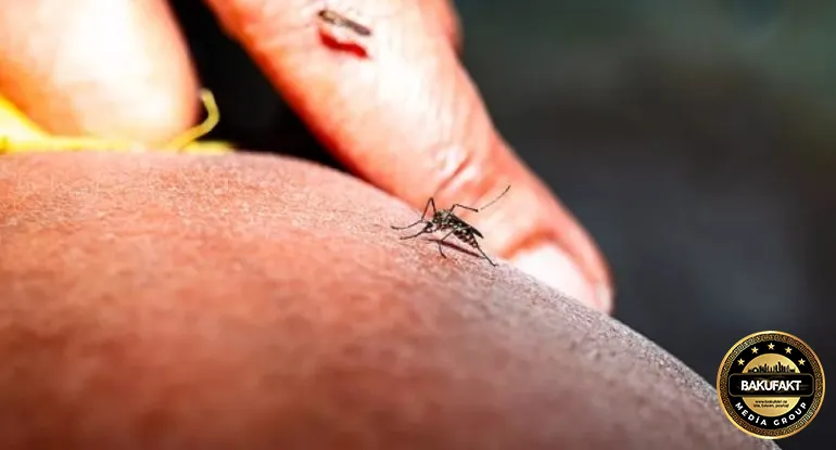 16 məşhur turizm məkanında təhlükəli xəstəlik aktiv şəkildə yayılır