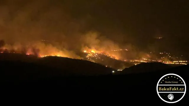 Türkiyədə dəhşətli yanğın: 5 nəfər öldü, onlarla yaralı var 