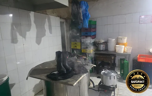 Toyuq ətini bu şəraitdə istehsal edirlərmiş - GÖRÜNTÜLƏR