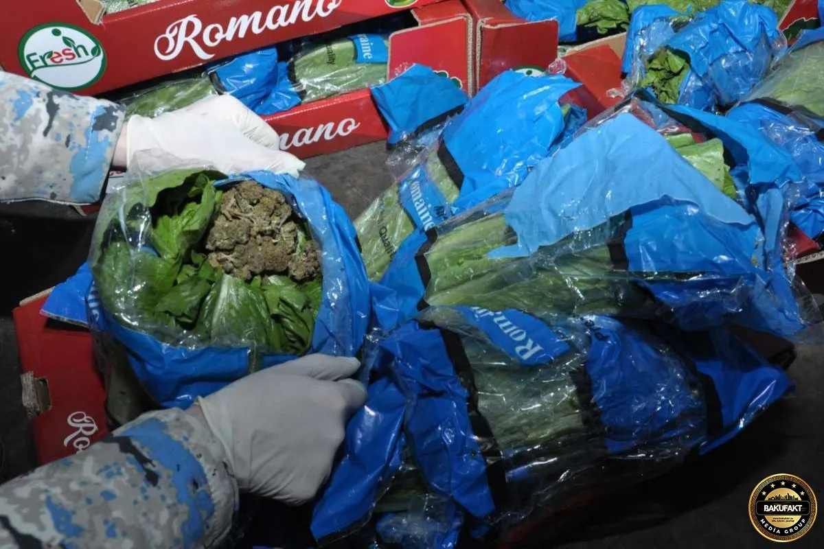 "Kahı" yükünün içərisində 56 kqmarixuana aşkarlandı