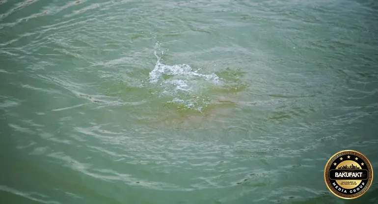 Tərtərdə 7 yaşlı qız kanala düşərək boğulub