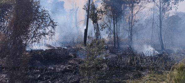 Xaçmazdakı yanğından sonra kəndlər işıqsız qalıb - YENİLƏNİB + FOTO