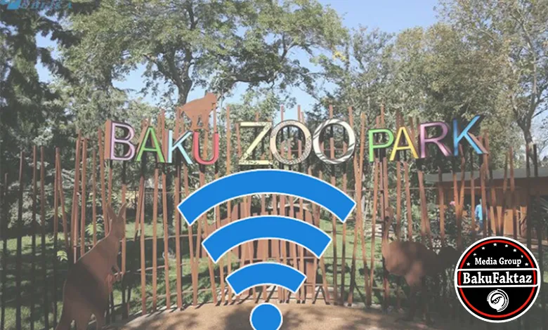 “Bakı Zooparkı” internet üçün hər ay 1 230 manat xərcləyəcək