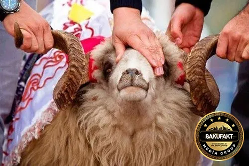 Qurban bayramı ilə bağlı FƏTVA VERİLDİ