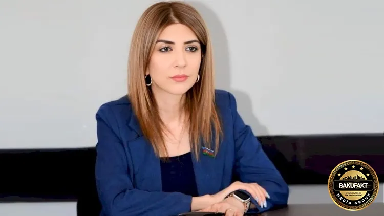 “Uşaqpulu tənbəllik yarada bilər” – Deputatın açıqlaması gündəm oldu