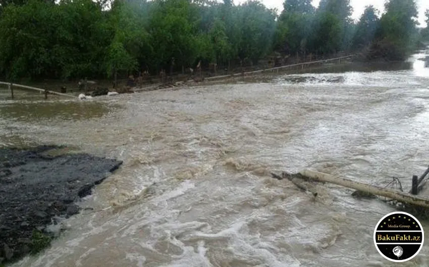 Sel Zaqatalada təsərrüfatlara ziyan vurdu