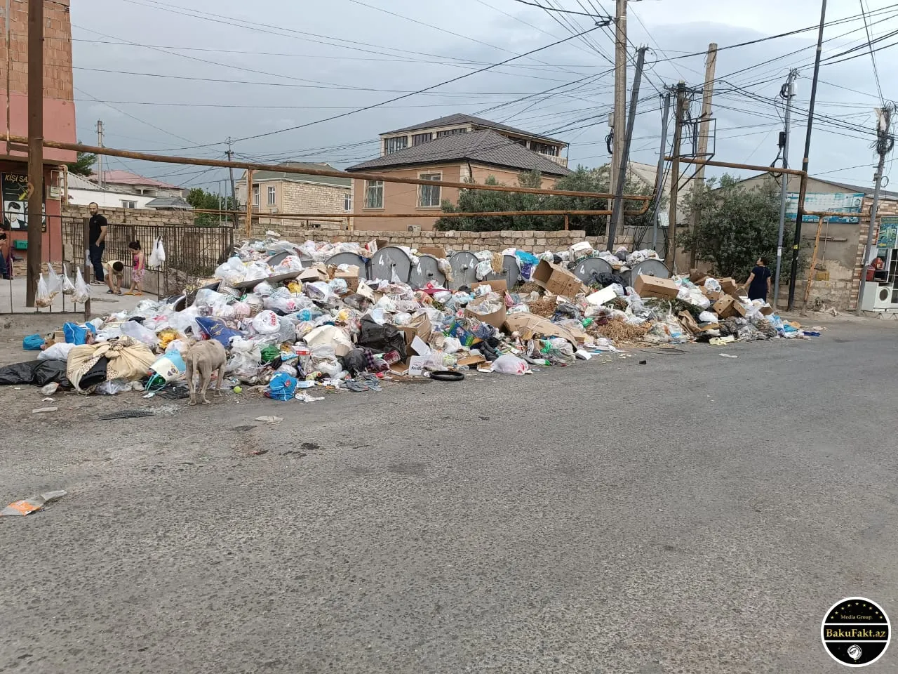 Xırdalanda zibil problemi - Şikayətlər cavabsız qalır - FOTO